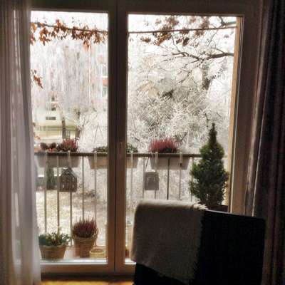4 ročné obdobia francúzskeho okna 5 zima_1