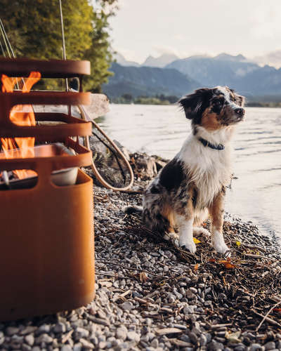 Kemping v novembri 11_1