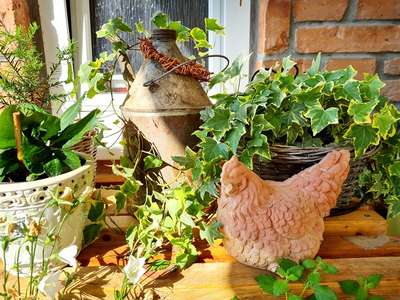 AZ Rajčany  7 - lúka_16