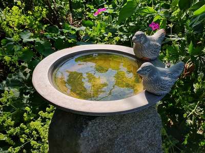 AZ Rajčany  7- popis dojem_12