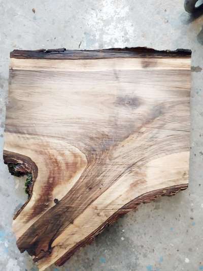 Drevo Dizajn- keď sa v dreve zastaví čas - 6 ošetrenie a spracovanie dreva_2