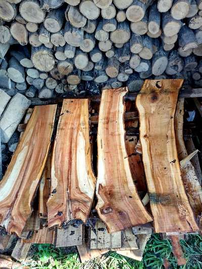 Drevo Dizajn- keď sa v dreve zastaví čas - 6 ošetrenie a spracovanie dreva_3
