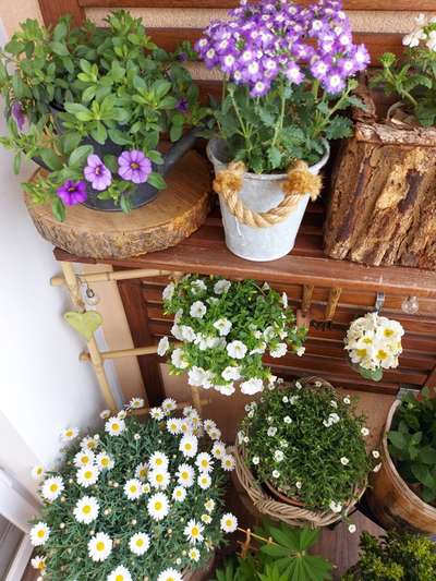 13 tipov ako zútulniť a zrenovovať svoj balkón - rastliny a kvety 7_9