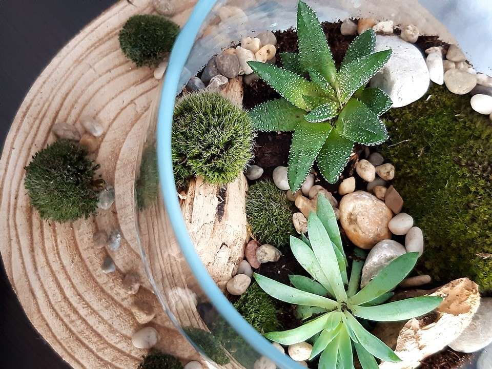 Florárium | Chatyblog.sk